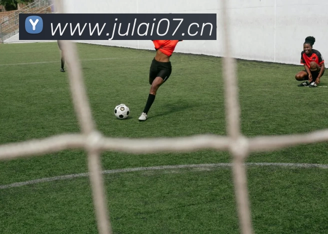 App Interface Preview